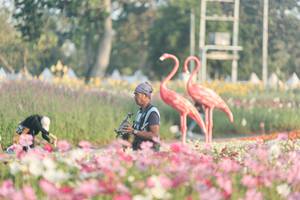 BIB: 
                            <button type="button" onclick="openModal(27344101)" class="btn btn-primary btn-sm float-right btn-popup" data-toggle="modal" data-target=".modal-high-quality">
                        <i class="fas fa-shopping-cart"></i> Add to Cart
                    </button>
                                            <button type="button" onclick="isThisMe(27344101, true)" class="btn btn-success btn-sm float-right btn-popup btn-isme hidden" data-toggle="tooltip" data-placement="bottom" title="นี่คือรูปของคุณใช่ไหม คลิกที่นี่เพื่อเอาเข้าอัลบั้ม">
                        <i class="fas fa-plus"></i> Add to album
                    </button>
                    <button type="button" onclick="isThisMe(27344101, false)" class="btn btn-warning btn-sm float-right btn-popup btn-isnotme hidden">
                        <i class="fas fa-ban"></i> Remove from album
                    </button>